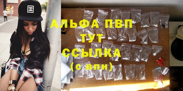 хмурый Няндома