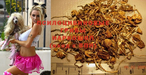 хмурый Няндома