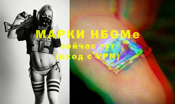 хмурый Няндома